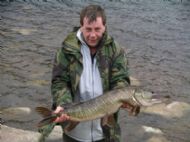 Stuarts 12 lb Luichart Pike